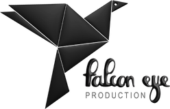 Falcon Eye Production